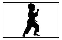 Martial Art