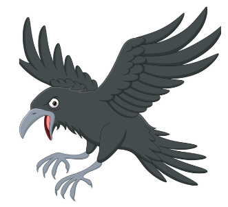 Crow